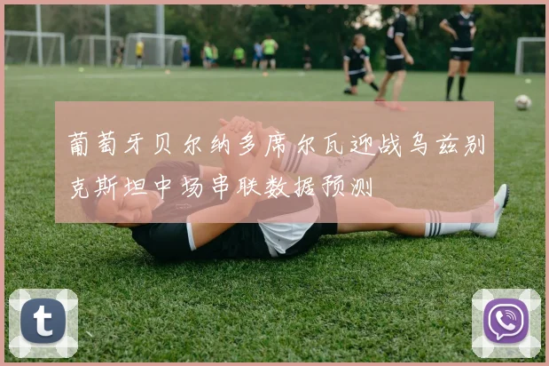 葡萄牙贝尔纳多席尔瓦迎战乌兹别克斯坦中场串联数据预测