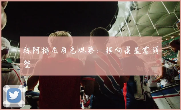 琼阿梅尼角色观察，横向覆盖需调整