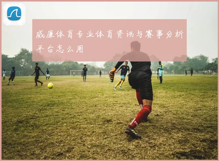 威廉体育专业体育资讯与赛事分析平台怎么用
