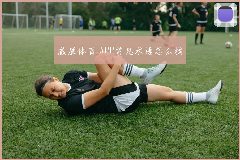 威廉体育 APP常见术语怎么找