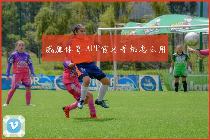威廉体育 APP官方手机怎么用