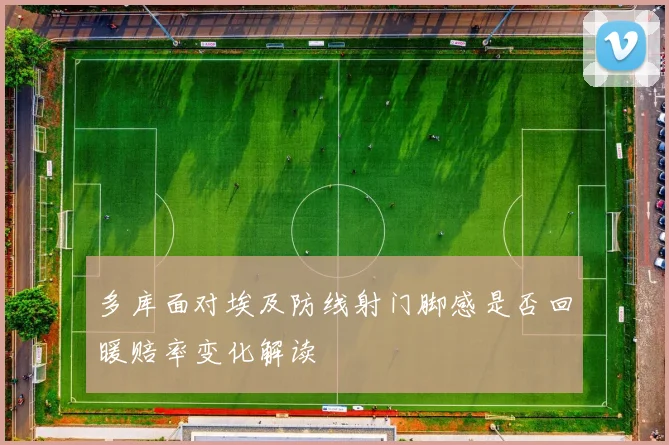 多库面对埃及防线射门脚感是否回暖赔率变化解读